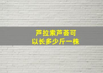 芦拉索芦荟可以长多少斤一株