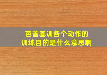 芭蕾基训各个动作的训练目的是什么意思啊