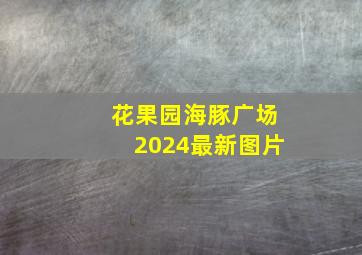 花果园海豚广场2024最新图片