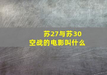 苏27与苏30空战的电影叫什么