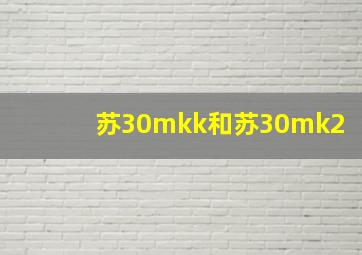 苏30mkk和苏30mk2