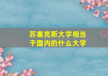 苏塞克斯大学相当于国内的什么大学