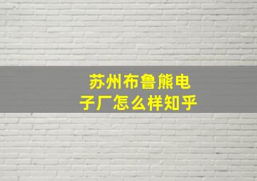 苏州布鲁熊电子厂怎么样知乎