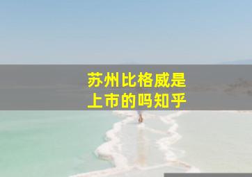 苏州比格威是上市的吗知乎