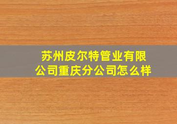 苏州皮尔特管业有限公司重庆分公司怎么样