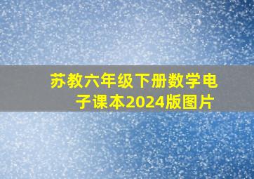 苏教六年级下册数学电子课本2024版图片