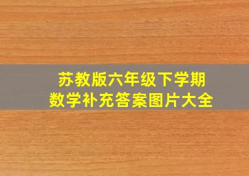 苏教版六年级下学期数学补充答案图片大全