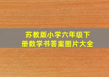 苏教版小学六年级下册数学书答案图片大全