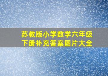 苏教版小学数学六年级下册补充答案图片大全