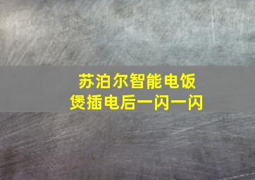 苏泊尔智能电饭煲插电后一闪一闪