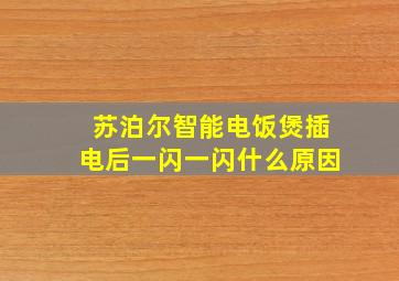 苏泊尔智能电饭煲插电后一闪一闪什么原因