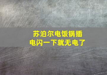 苏泊尔电饭锅插电闪一下就无电了