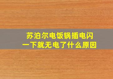 苏泊尔电饭锅插电闪一下就无电了什么原因