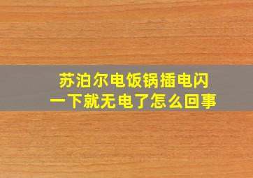 苏泊尔电饭锅插电闪一下就无电了怎么回事