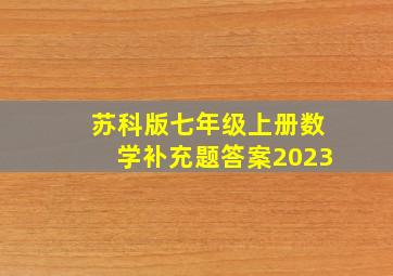 苏科版七年级上册数学补充题答案2023