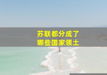 苏联都分成了哪些国家领土