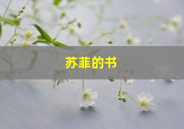 苏菲的书