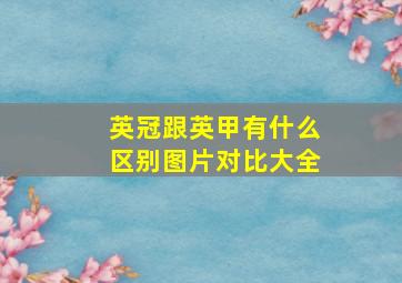 英冠跟英甲有什么区别图片对比大全