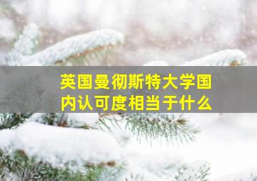 英国曼彻斯特大学国内认可度相当于什么