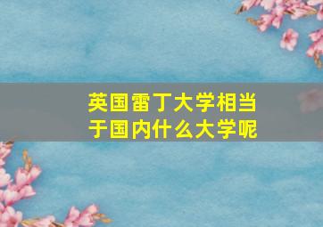 英国雷丁大学相当于国内什么大学呢