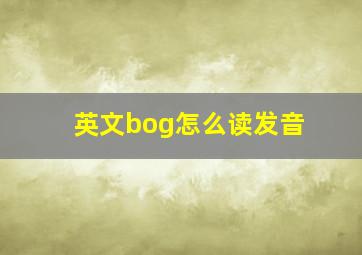 英文bog怎么读发音