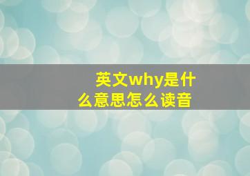 英文why是什么意思怎么读音