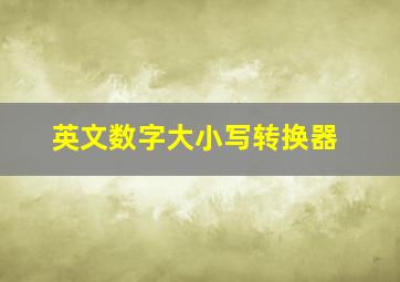 英文数字大小写转换器