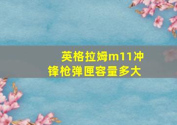 英格拉姆m11冲锋枪弹匣容量多大