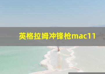 英格拉姆冲锋枪mac11