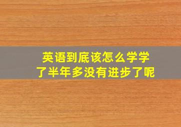 英语到底该怎么学学了半年多没有进步了呢