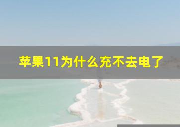 苹果11为什么充不去电了