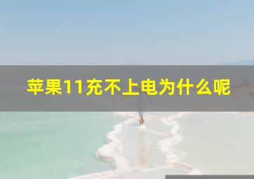 苹果11充不上电为什么呢