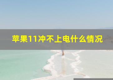 苹果11冲不上电什么情况