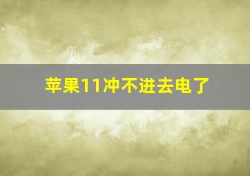 苹果11冲不进去电了