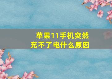 苹果11手机突然充不了电什么原因