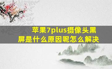 苹果7plus摄像头黑屏是什么原因呢怎么解决