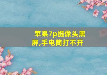 苹果7p摄像头黑屏,手电筒打不开