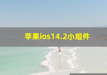 苹果ios14.2小组件