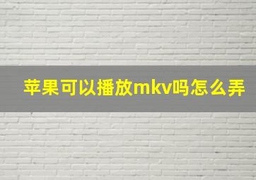 苹果可以播放mkv吗怎么弄