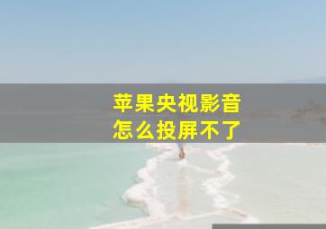 苹果央视影音怎么投屏不了