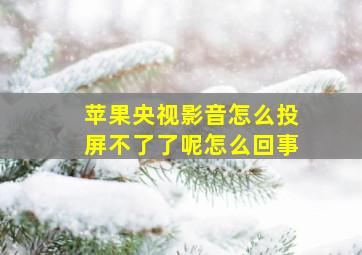 苹果央视影音怎么投屏不了了呢怎么回事