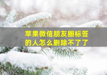 苹果微信朋友圈标签的人怎么删除不了了