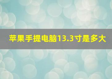 苹果手提电脑13.3寸是多大