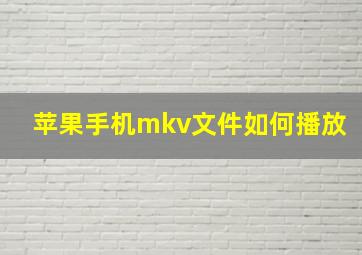 苹果手机mkv文件如何播放