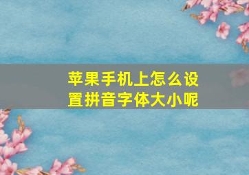 苹果手机上怎么设置拼音字体大小呢