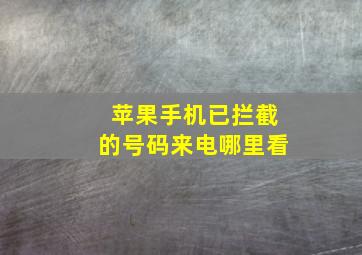 苹果手机已拦截的号码来电哪里看