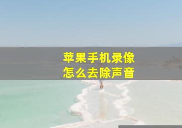 苹果手机录像怎么去除声音