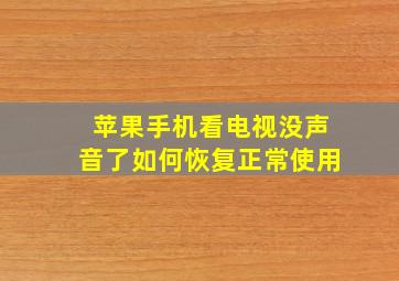 苹果手机看电视没声音了如何恢复正常使用