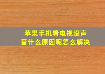 苹果手机看电视没声音什么原因呢怎么解决