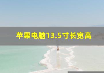 苹果电脑13.5寸长宽高